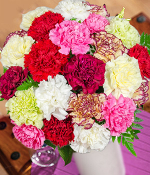 TWO DOZEN COLORFUL CARNATIONS - Chinook Florist